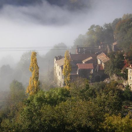 Отель Mas La Donzelenche Vialas Номер фото